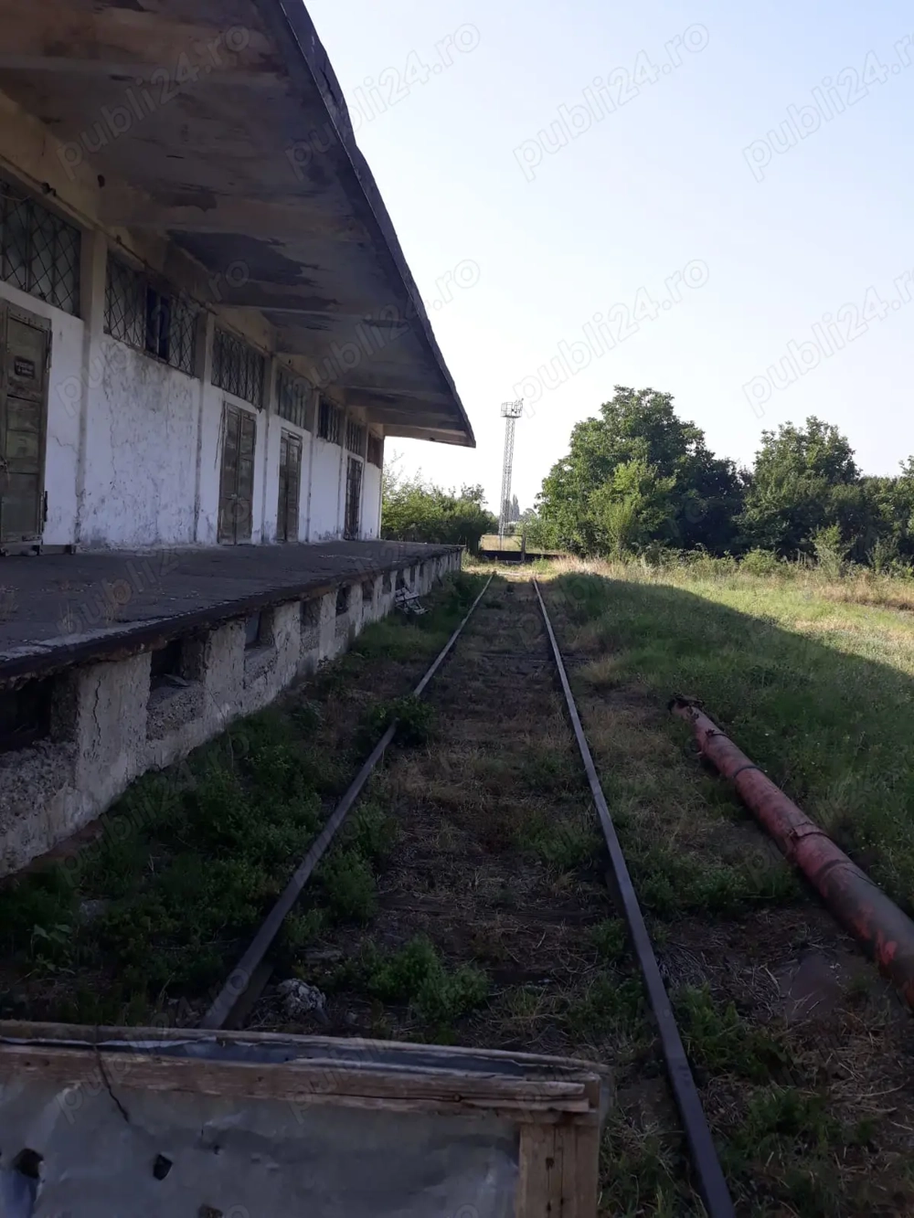 Vannd imobil Caracal , Olt, 24000 metri patrati