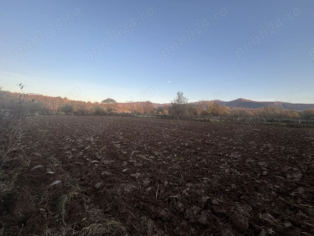 Grădina Sinca Nouă,Brasov