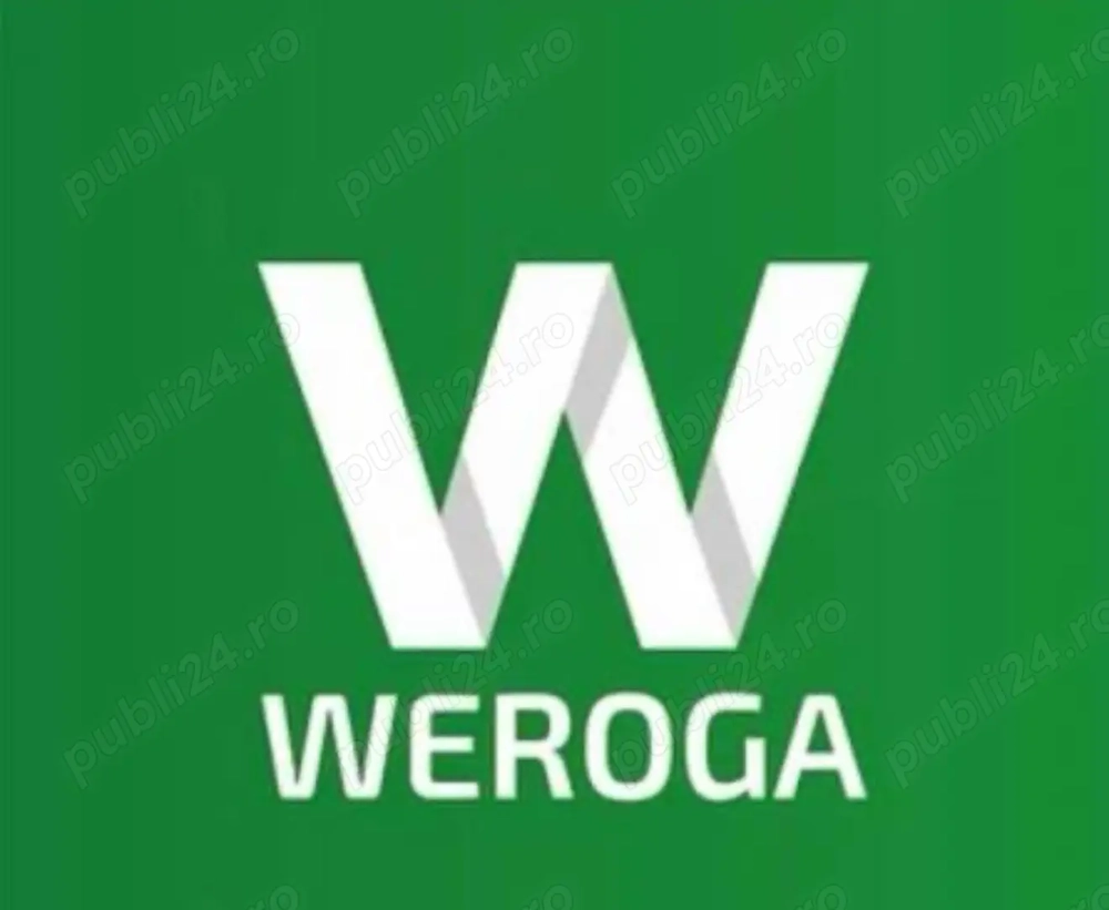 Soferi categoria B coletarie UPS( Germania )