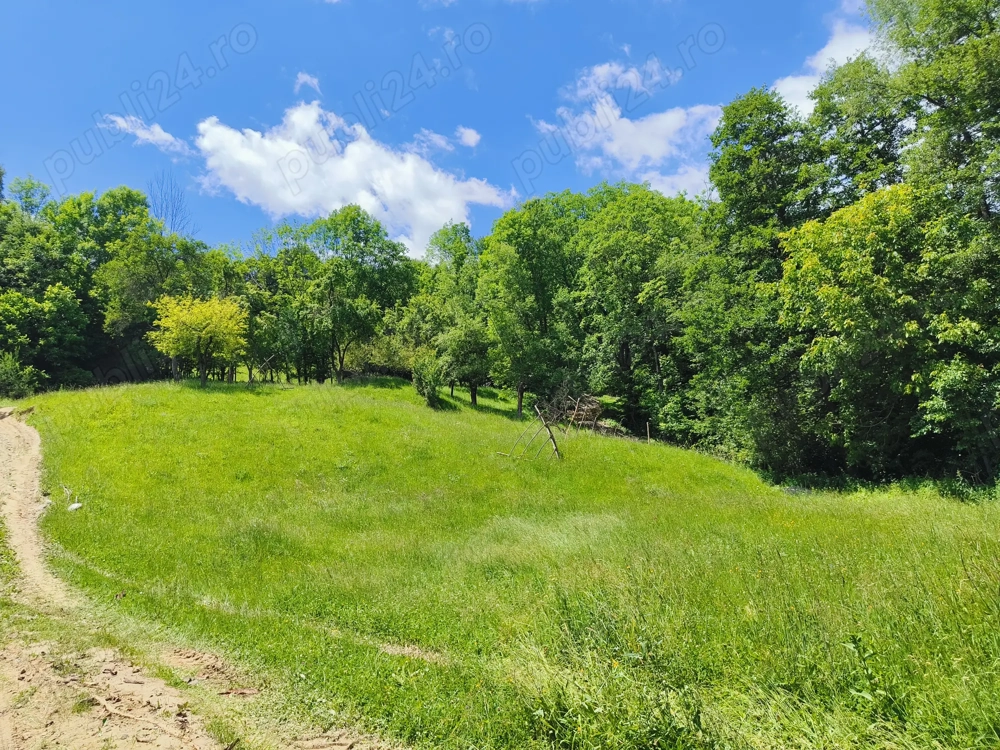 Teren 3.800 mp - Slatina, Nucsoara