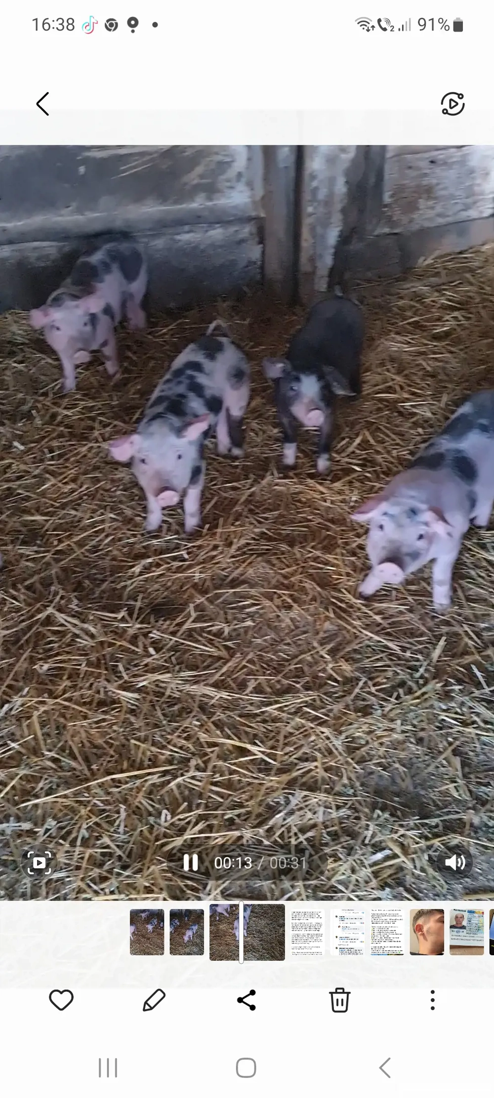 Vand purcei pietran intarcati 