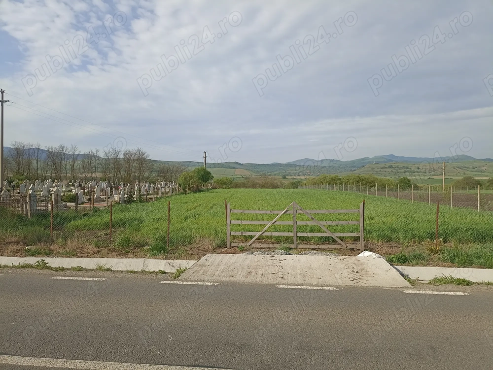 Vand teren intravilan 2400 m2 in loc Iara