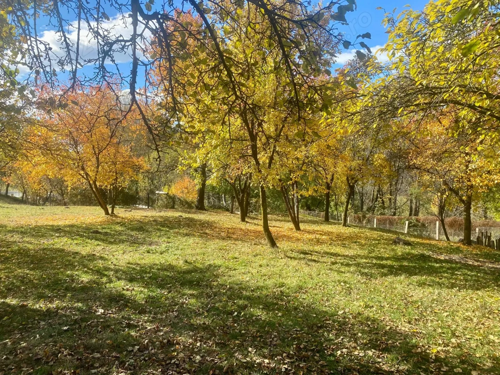 Teren intravilan munte 4500 - zona rezidențială 5-10 min de centrul orașului & hypermarketuri 