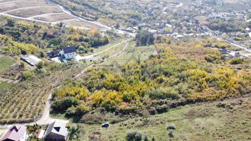 Teren Extravilan Bucium - Mun Iasi