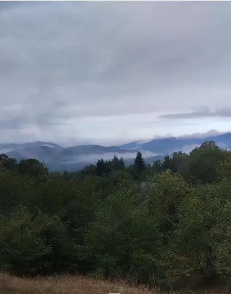 Teren extravilan la munte, in Nucsoara Arges