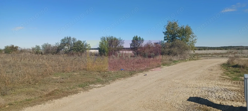 Săbăreni, teren rezidential 6290 mp, cu 52m FS, utilitati in apropiere