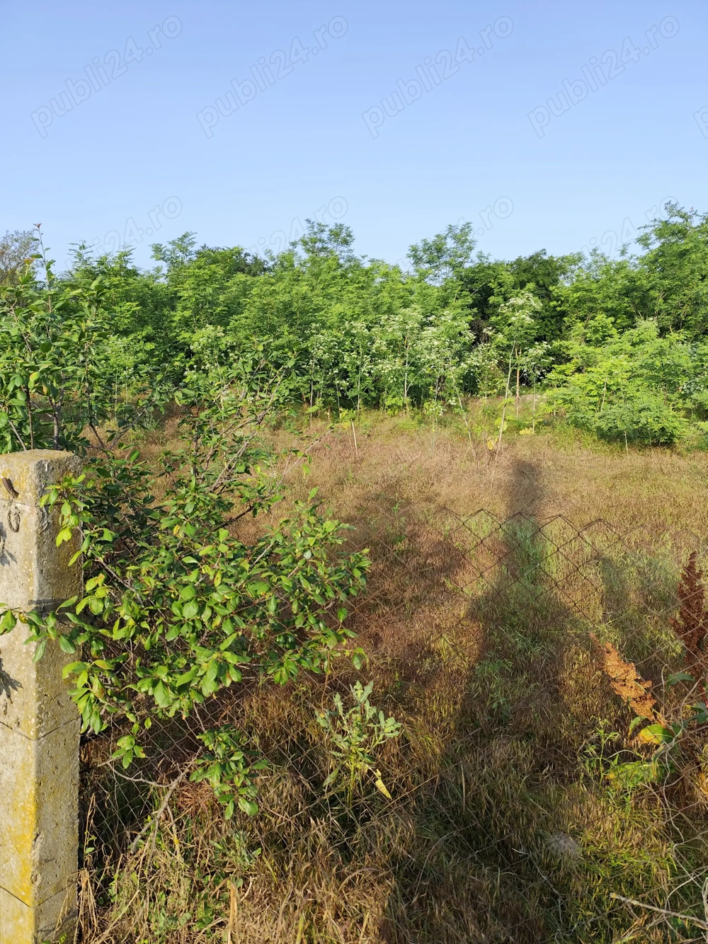 Vând teren intravilan