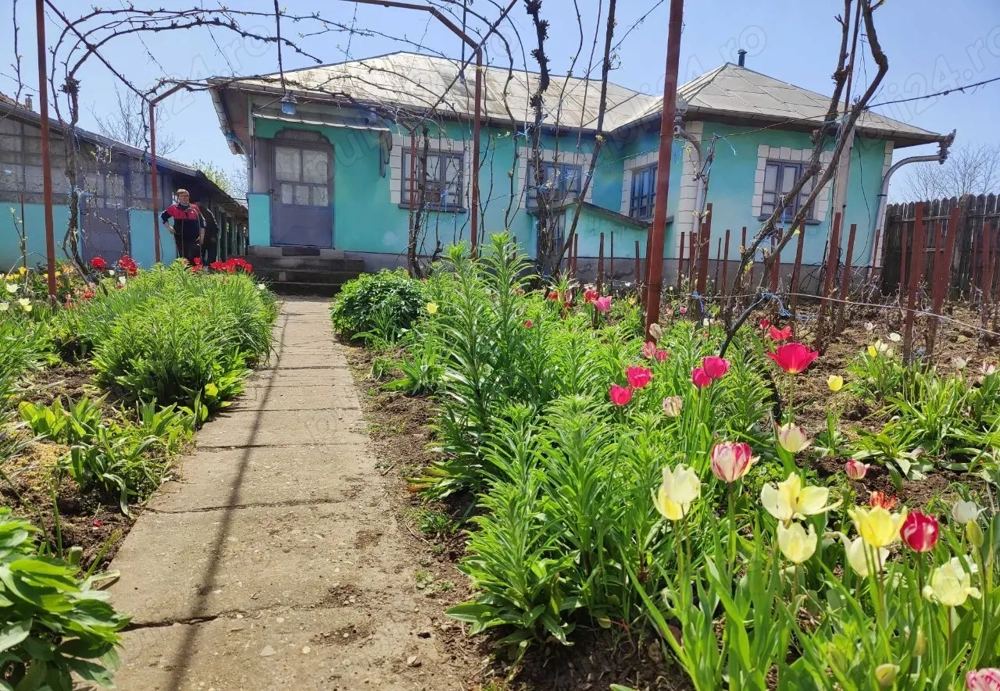 Casă de vânzare în comuna Perișor, județul Dolj 