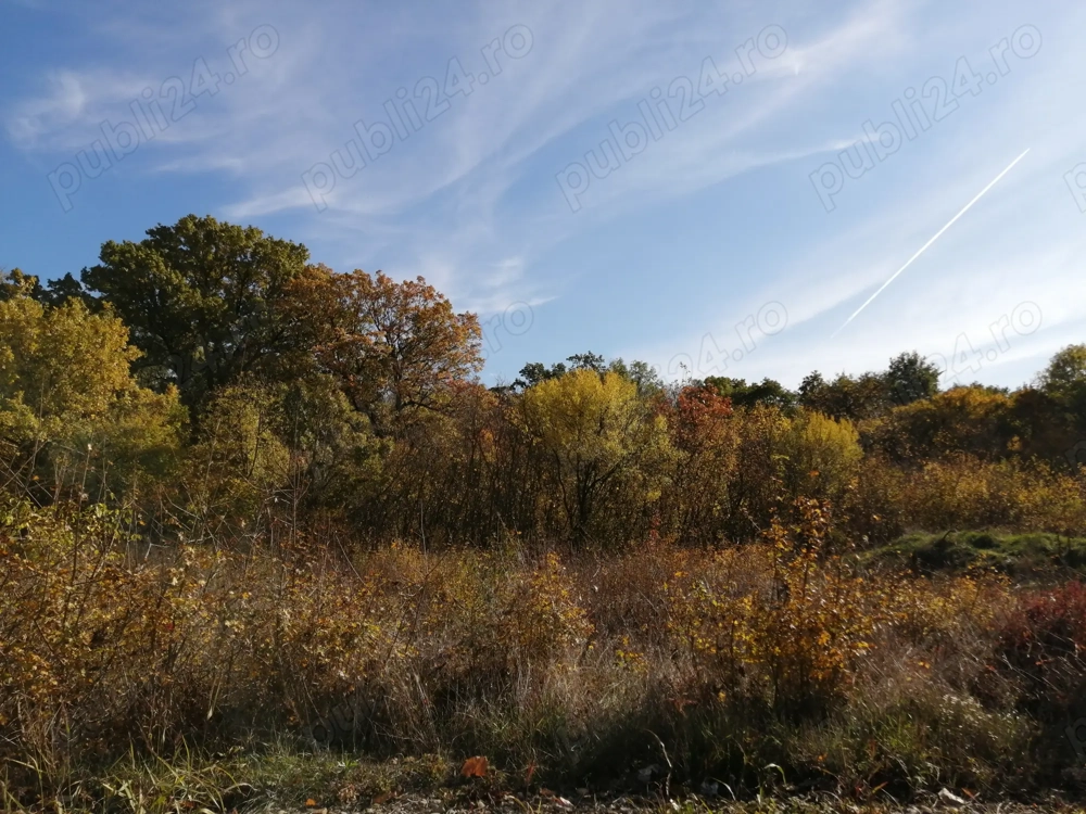 De vanzare teren 600  mp, zona Constructorului padure, pentru casa fara fundatie zona de agrement