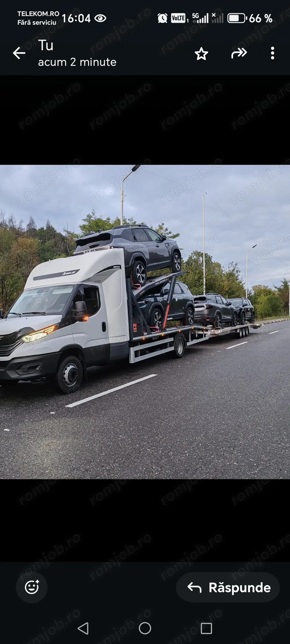 Angajez șofer profesionist transportor auto 4 poziții 