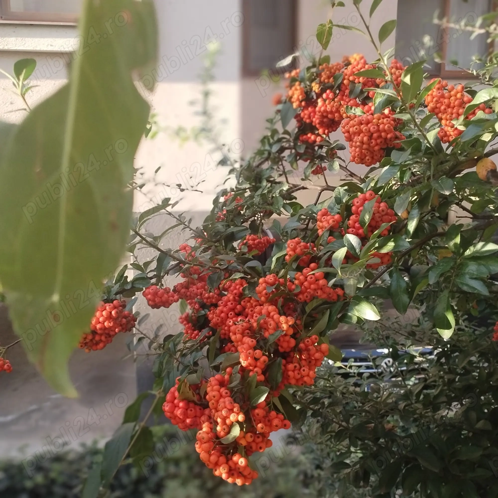 Apartament 2 camere Cartierul Solar