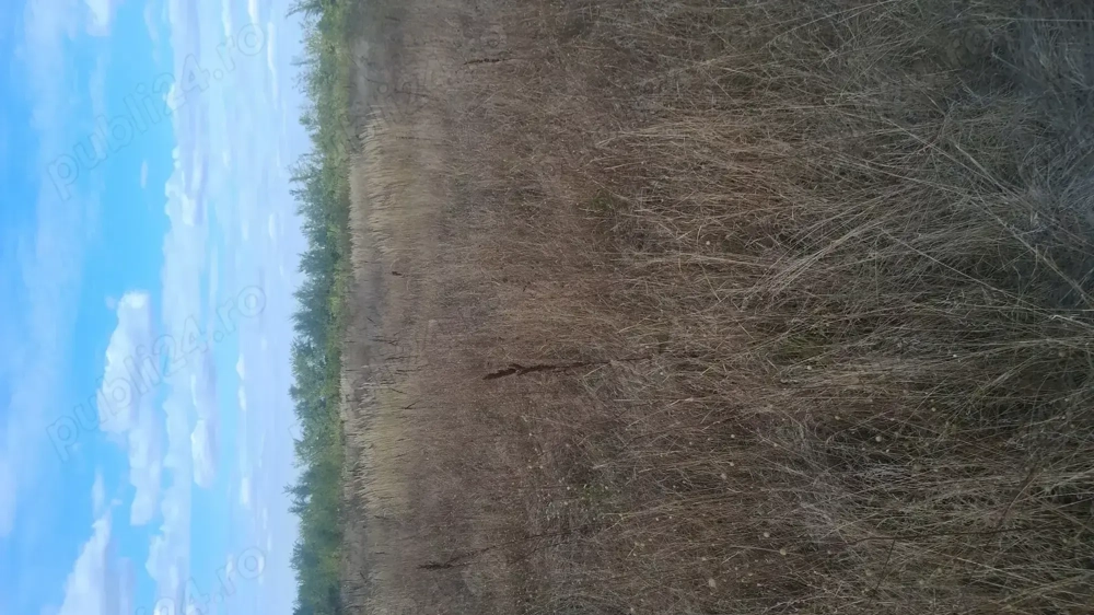 Flamingo Park Teren intravilan Balotesti 15000 euro utilitati la poarta