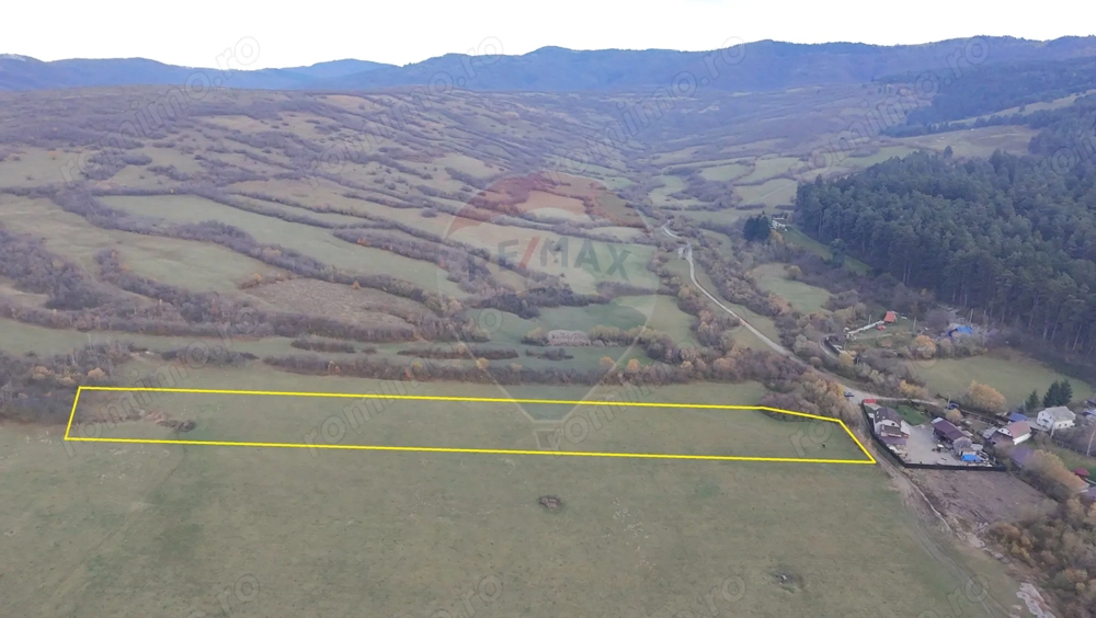 Teren 5.800 mp Purcareni curent, gaz, apă / Strada 30 decembrie