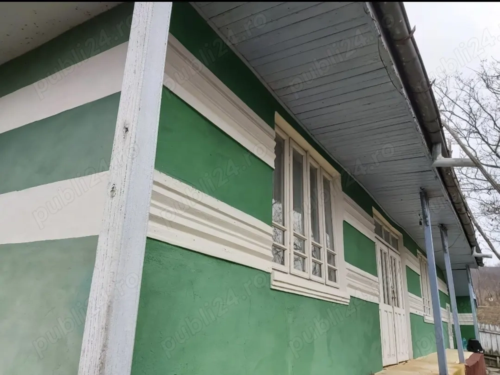 Casa de vânzare cu pădure de salcâmi maturi intravilană