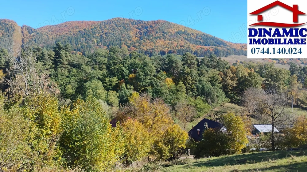 3600 mp teren intravilan, sat Bistrita, 16 Euro mp