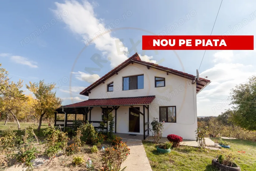 Casa P+M cu teren 2788 mp COCU -RACHITELE ARGES