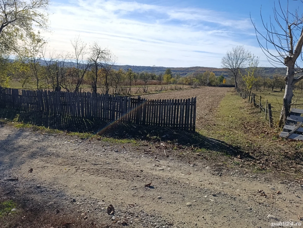 teren de vanzare langa domnesti arges