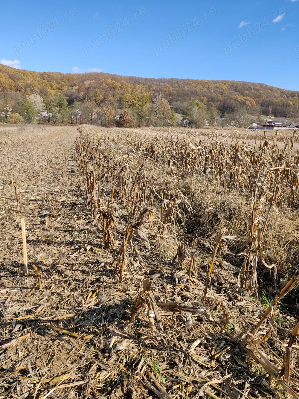 Vand ieftin teren extravilan Draganu-Arges