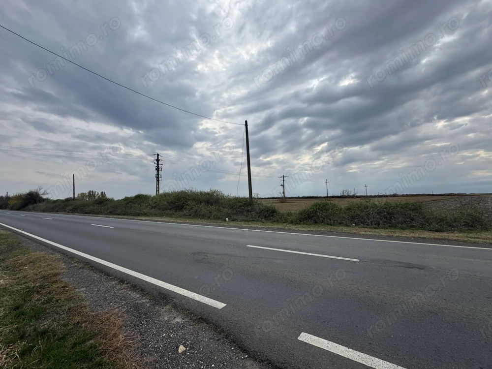 Vand Teren Extravilan Biled(zona industriala) 25.000mp,F.S la DN6