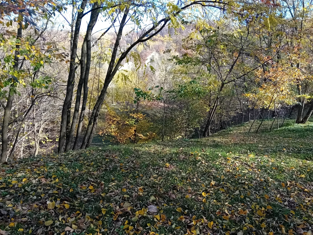Teren de vânzare Brebu