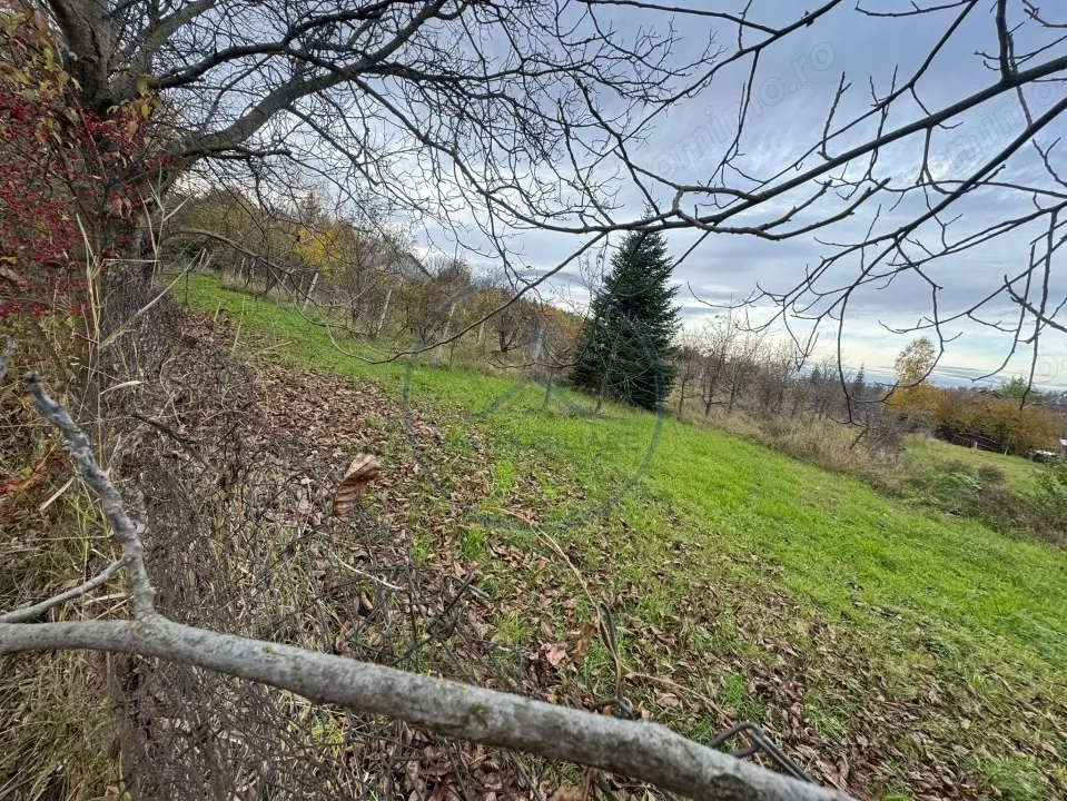 Teren intravilan 3.000 mp, 2 fronturi, Valea Jelnei