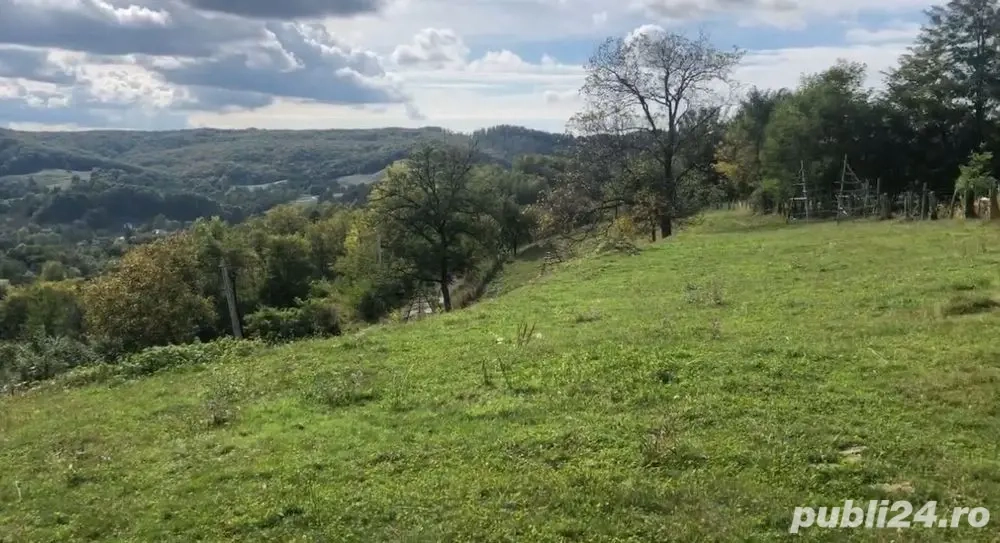 Teren de vanzare în Cicanesti-Curtea de Arges
