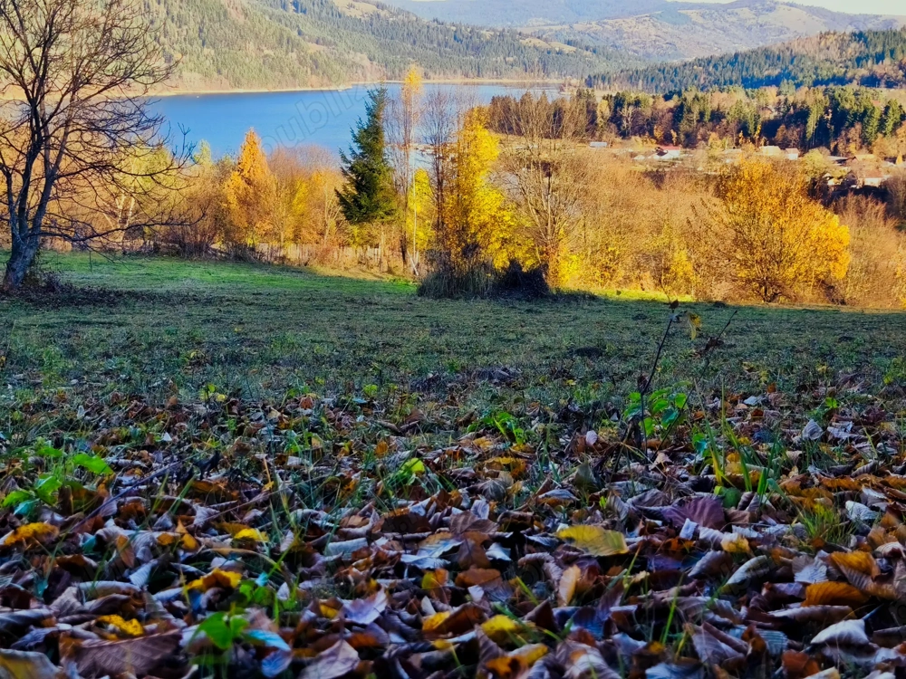 Vând teren in comuna Ceahlău 