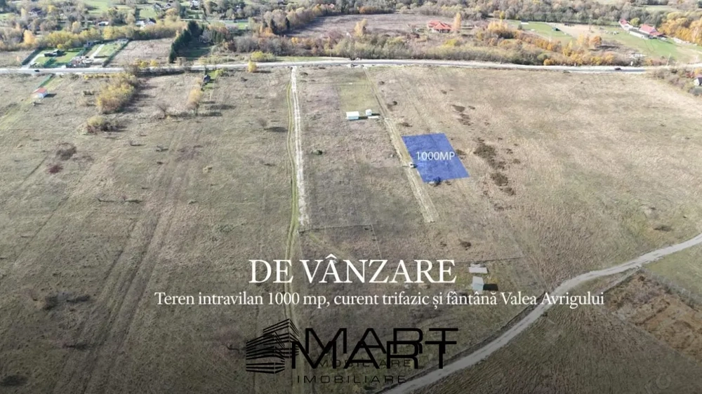 Teren 1000 mp, curent trifazic si fantana  Valea Avrigului