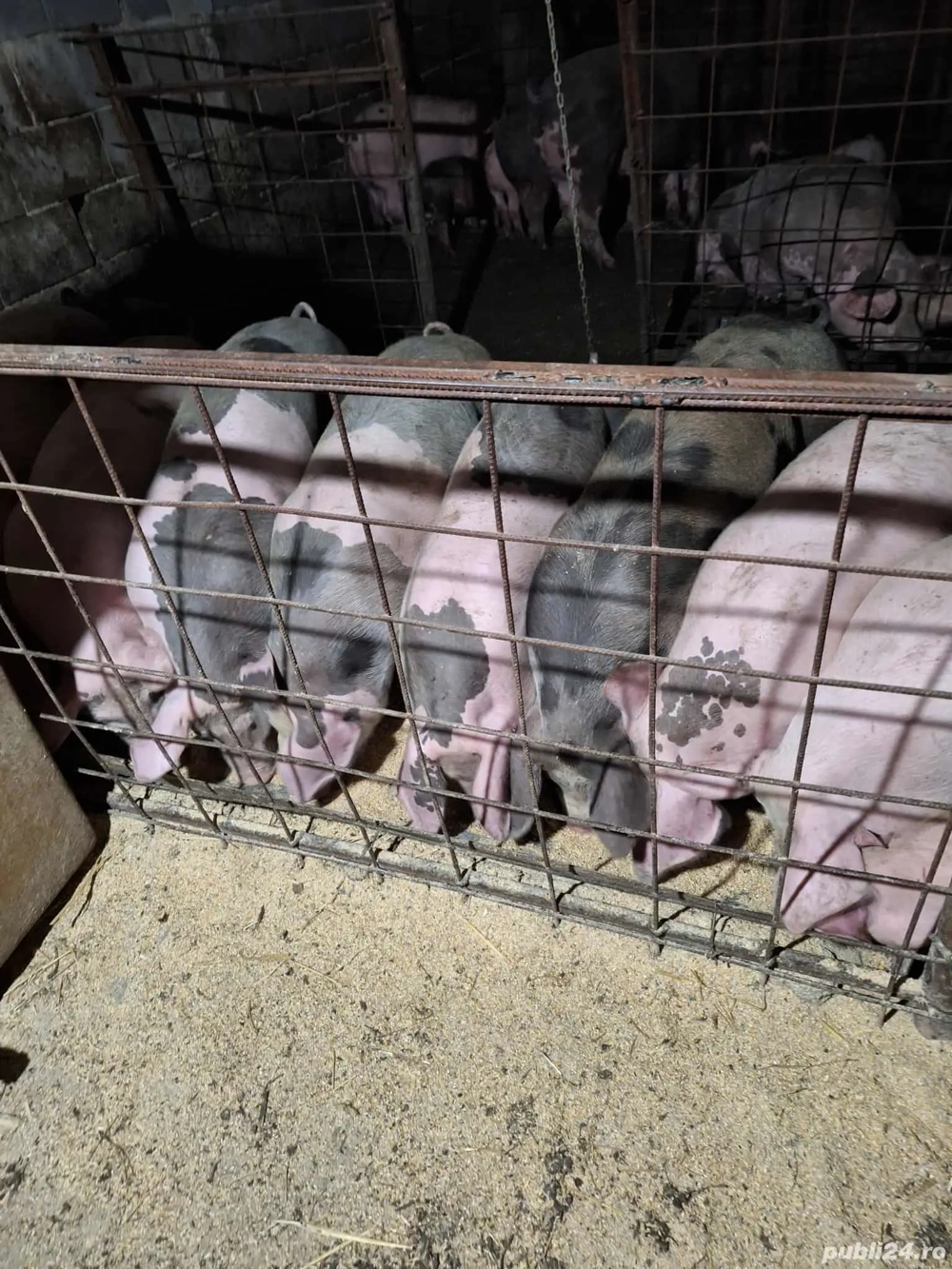 de vânzare ce se vede in poza 