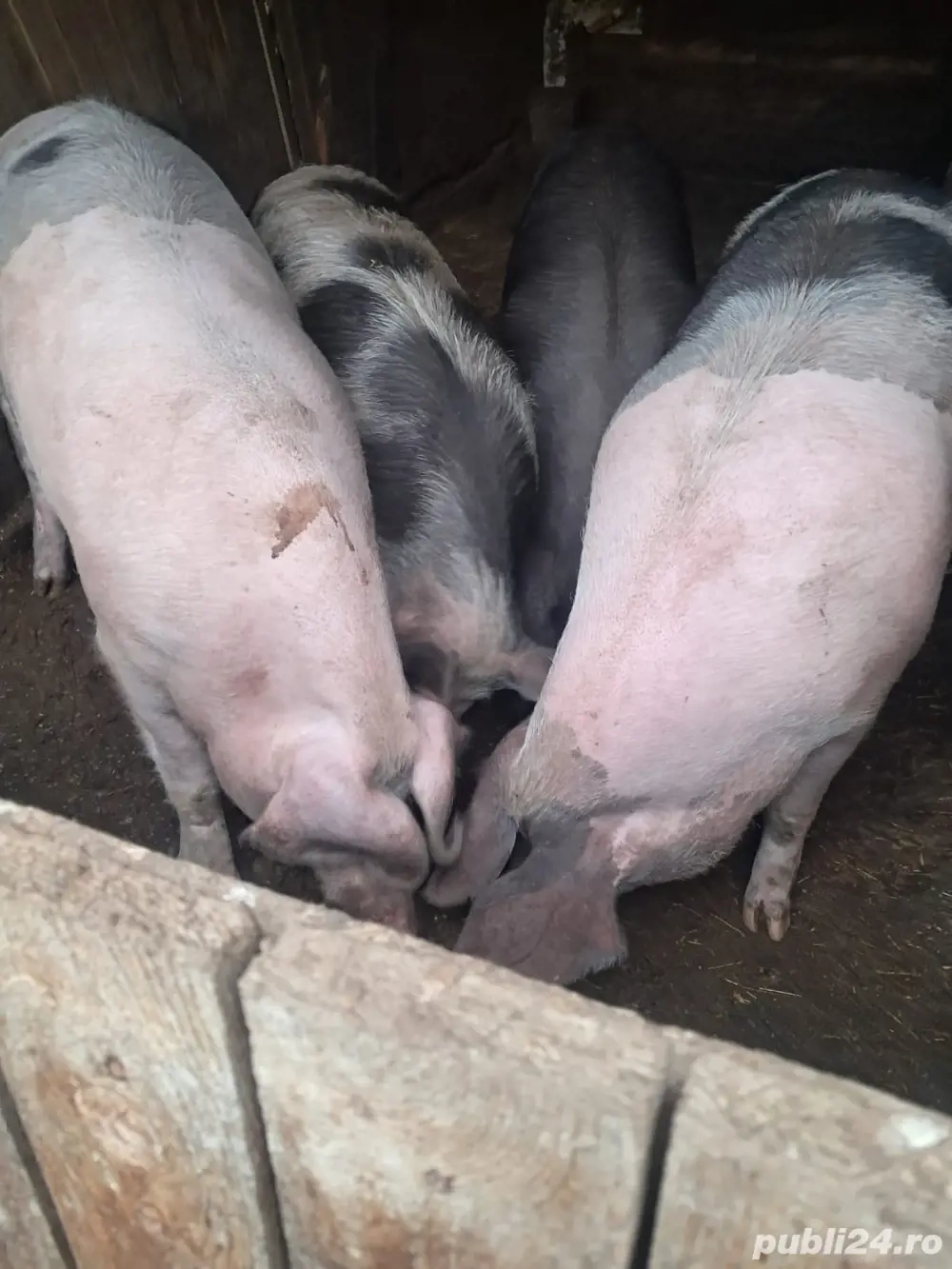 vand ce se vede in poza