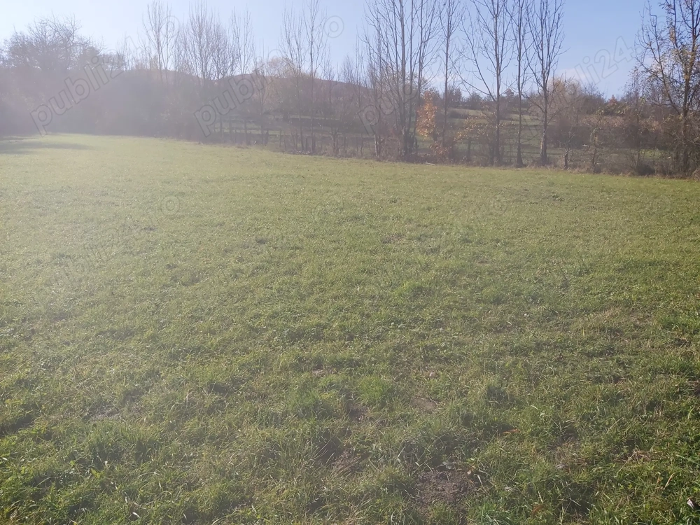 Vând teren intravilan și extravilan