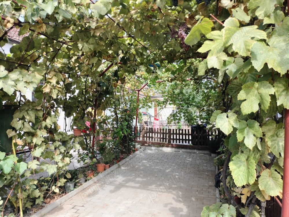 Proprietar, vand apartament cu 3 camere la curte comună Timișoara, zona Mehala