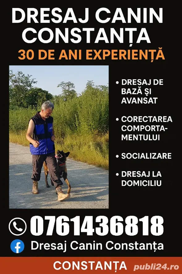 Dresaj canin Constanța-30 de ani experienta