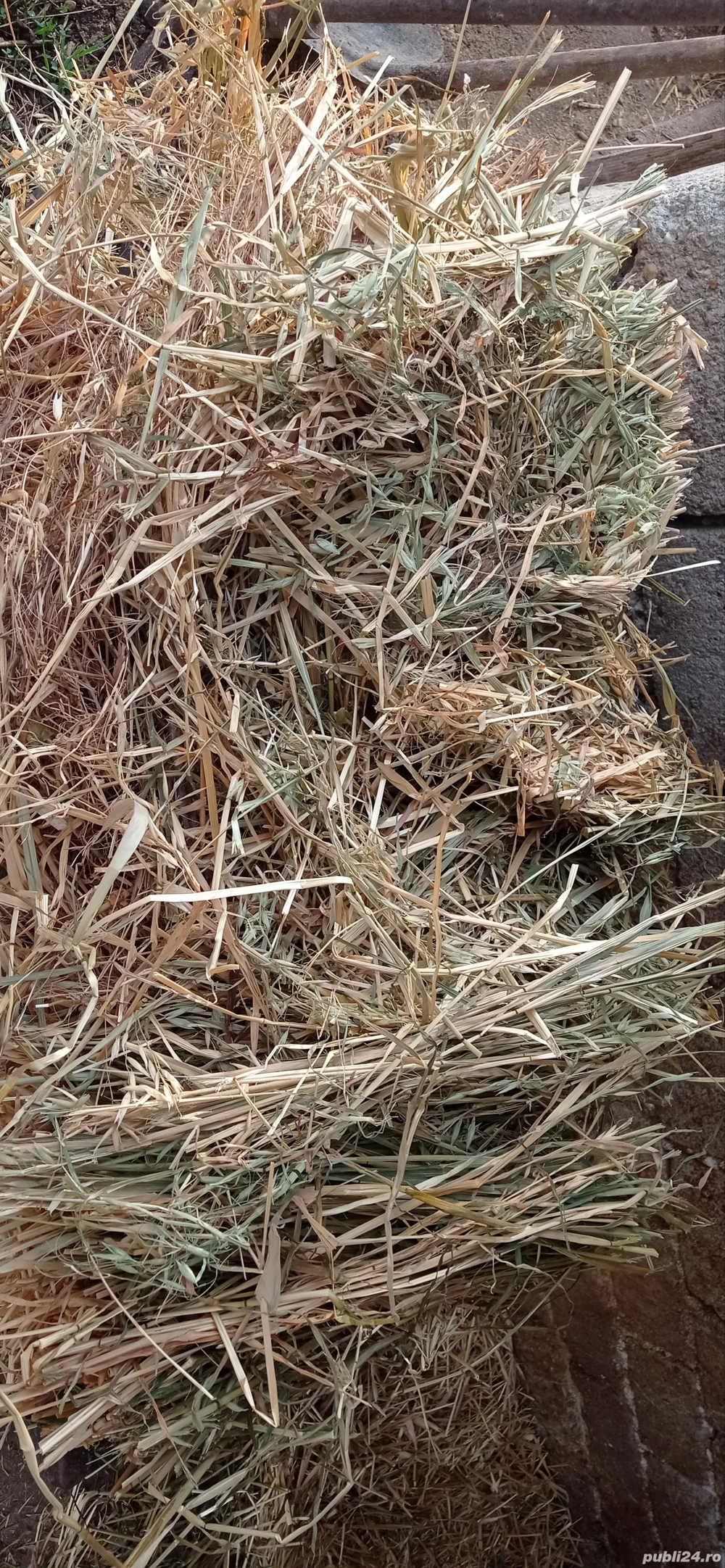 Baloți neplouați de vânzare iarbă şi ovăz fân 
