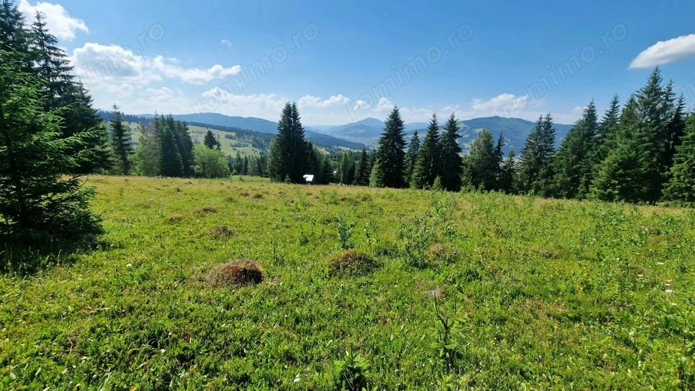 Teren intravilan de vanzare Vatra Dornei, Dorna Arini