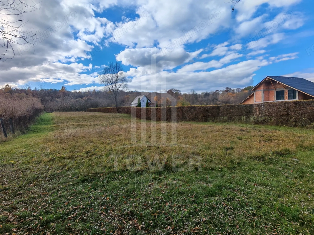 Teren de vanzare în reprezentare exclusivă, situat pe Valea Avrigului!