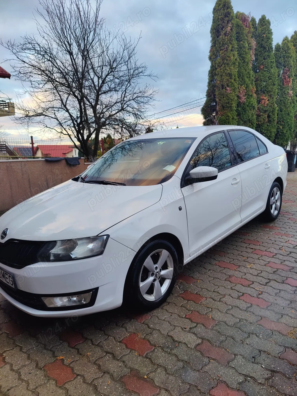 Vand Skoda Rapid 1,2 TSI 2013