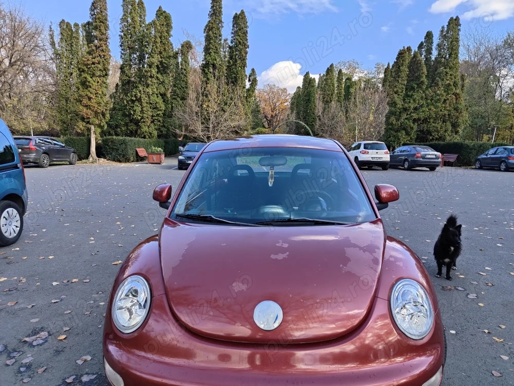Vânzare wv new beetle