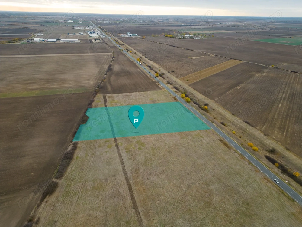 Teren 22.500 mp–Pecica, jud. Arad,Posibilitate PUZ
