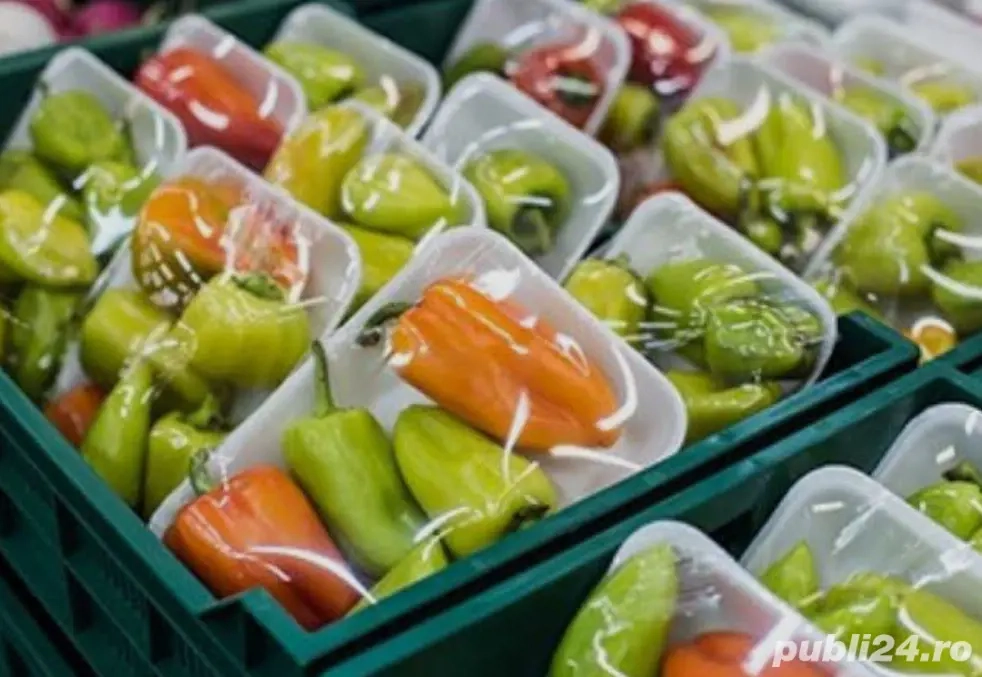 Angajări cu plecări imediate!!