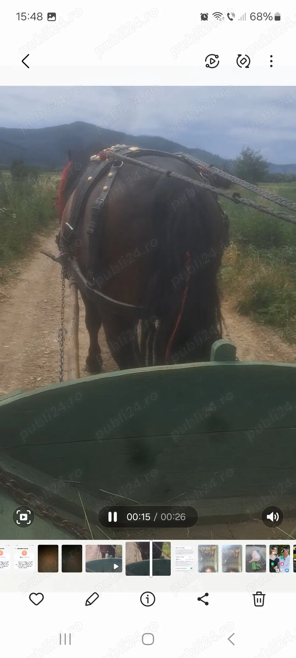 Manz de doi ani jumate