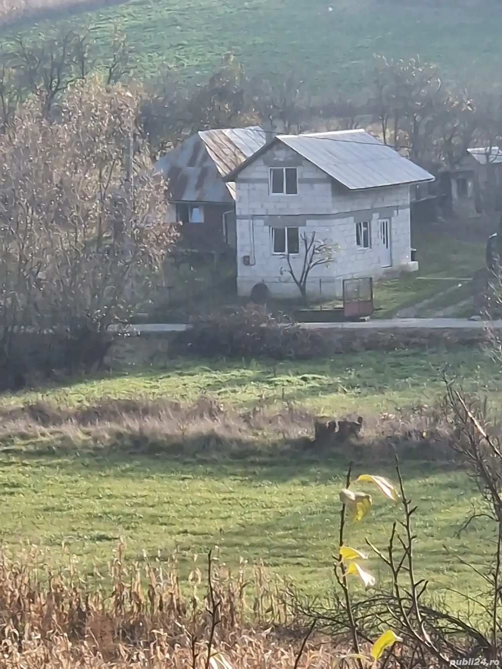 Vând tren intravilan 1400 mt in Comuna  Mociu  