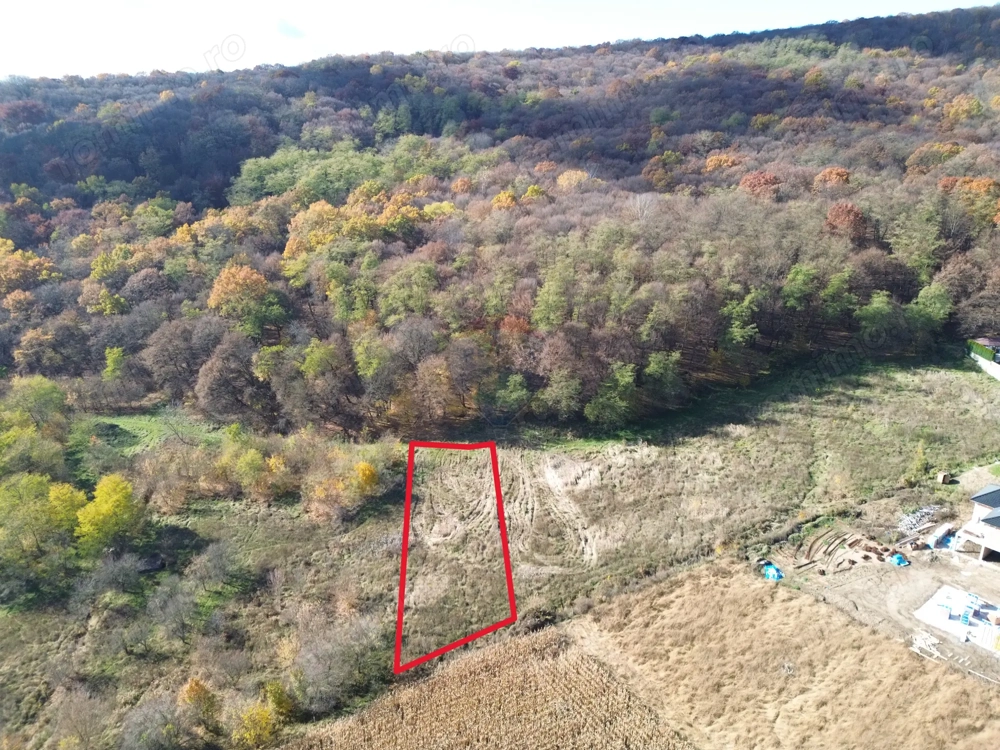 Teren de vânzare – zonă Wevern, Medias – 1.233 mp lângă padure