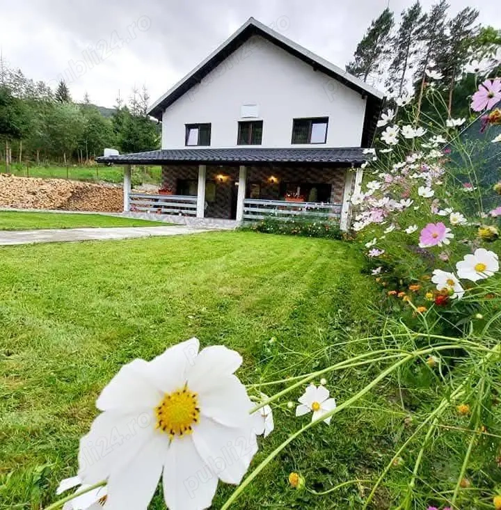 Cazare Rucar Satic Pensiunea Aaron s Home 