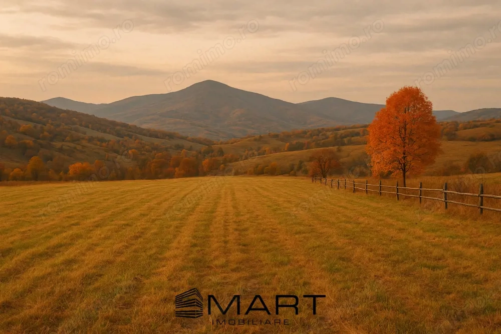 Teren intravilan zona Tocile