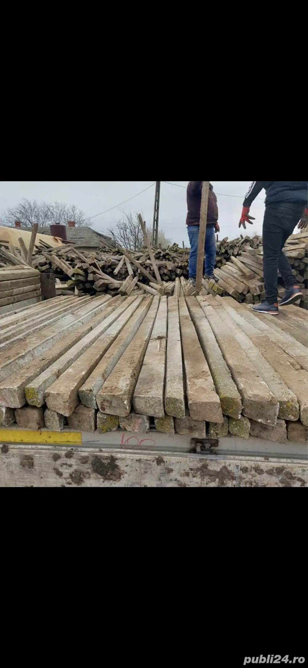 vand spalieri din defisari de vie 