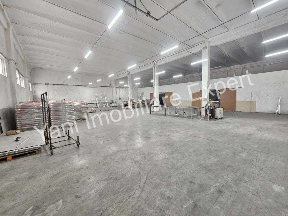 Proprietate cu multiple hale, de vânzare în comuna Băiculești, județ Argeș.