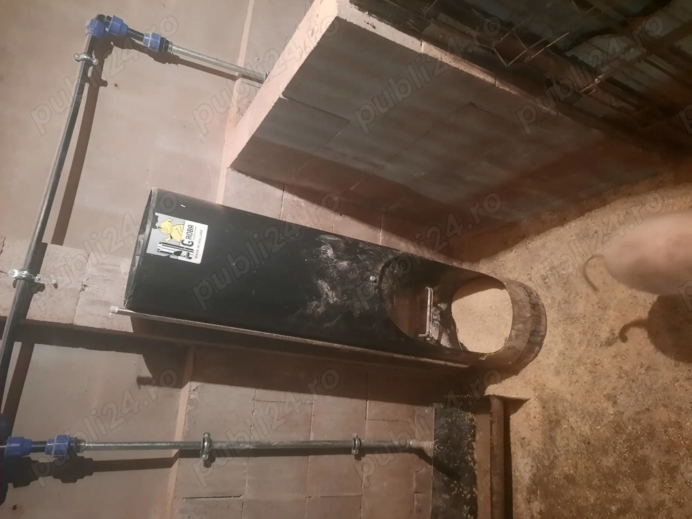 Vand hranitoare automate porci