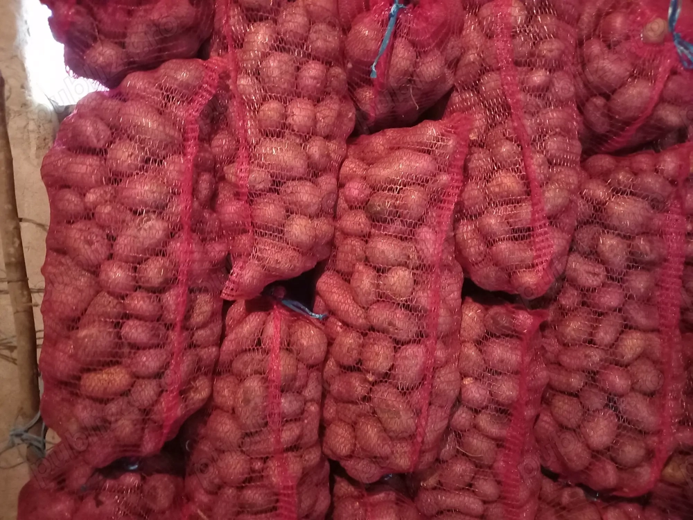 Cartofi consum rosu si alb sortat 