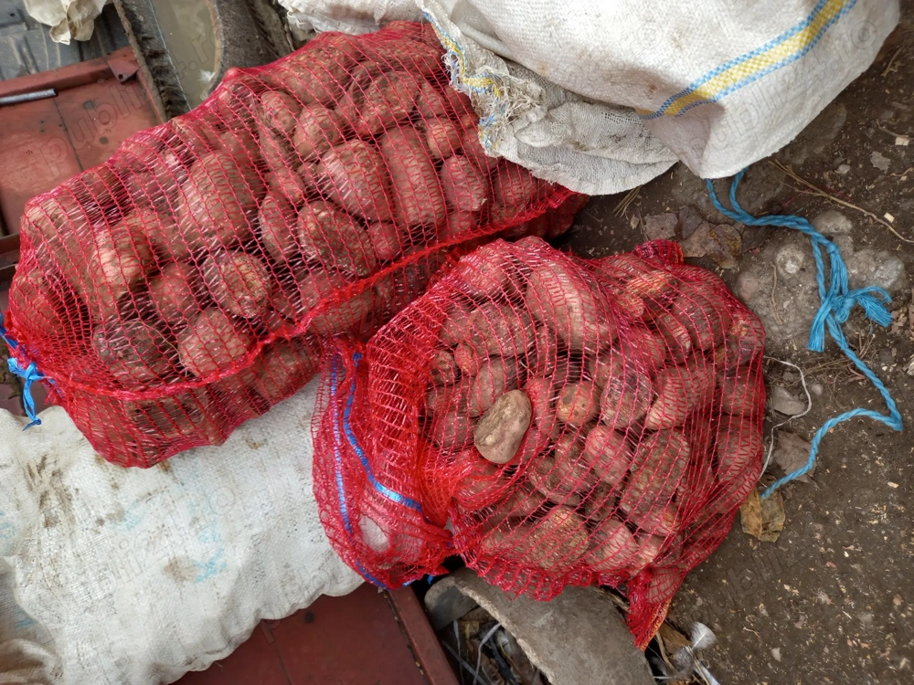 Cartofi pentru animale